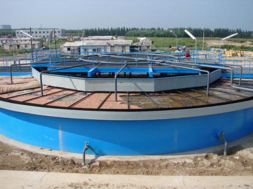 20101203113634608.jpg